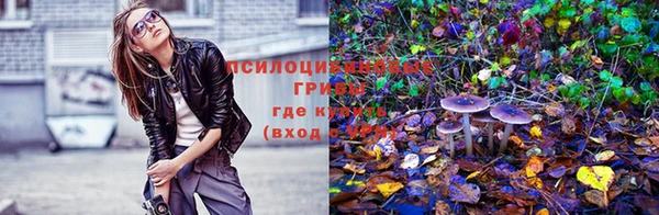 мдпв Заволжье