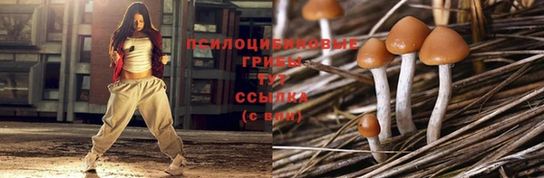 мдпв Заволжье