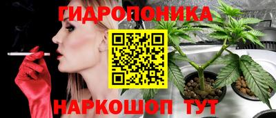 тгк Пенза