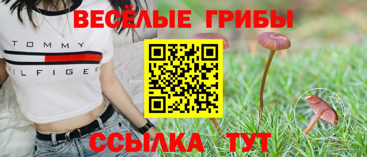 Семилуки  Псилоцибиновые грибы GOLDEN TEACHER  Псилоцибиновые грибы Psilocybe  Вход с VPN 