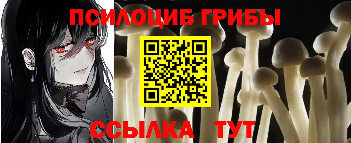 Псилоцибиновые грибы Magic Shrooms Семилуки